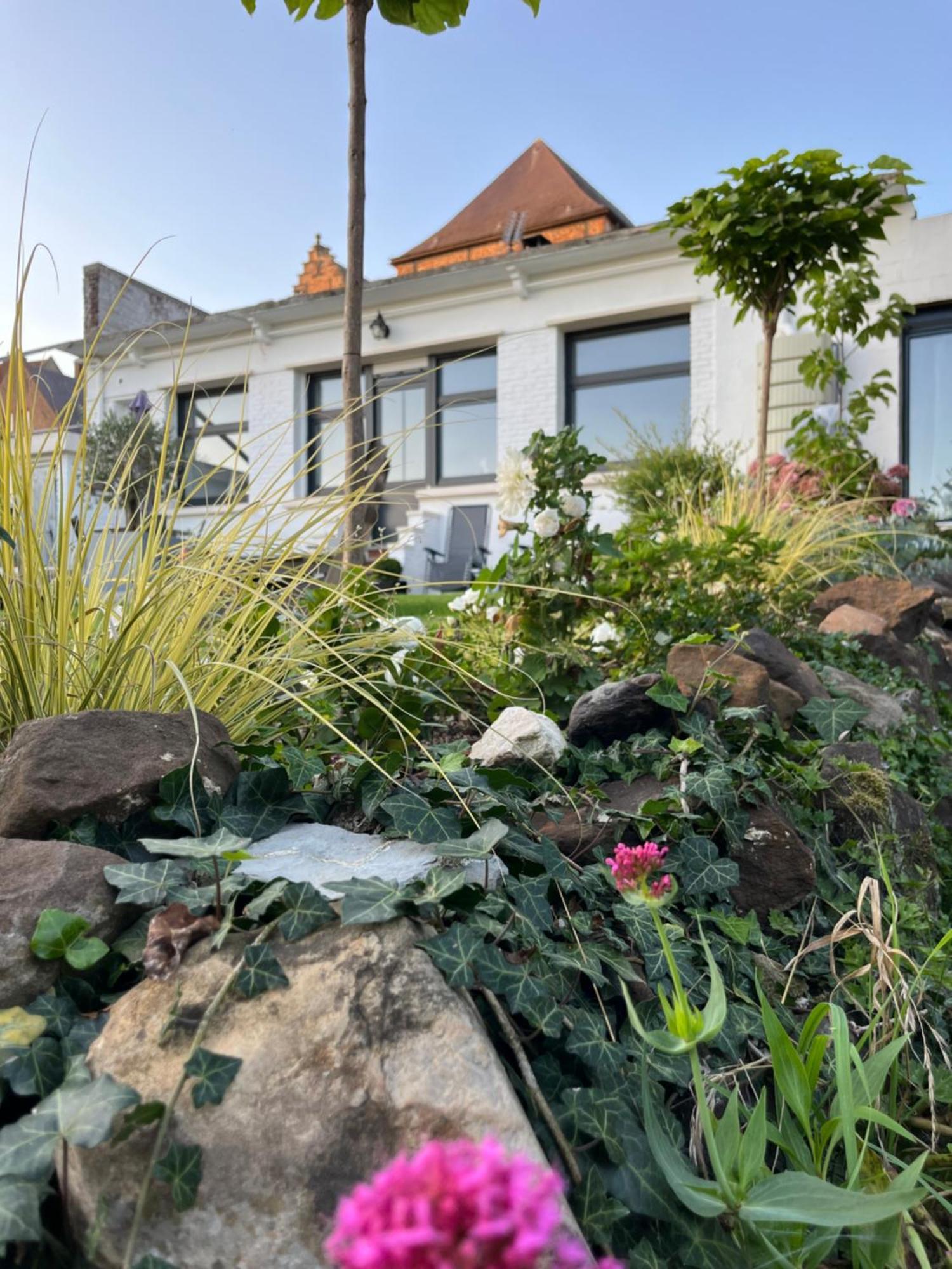 Le Petit Paradis Cassel Eksteriør billede
