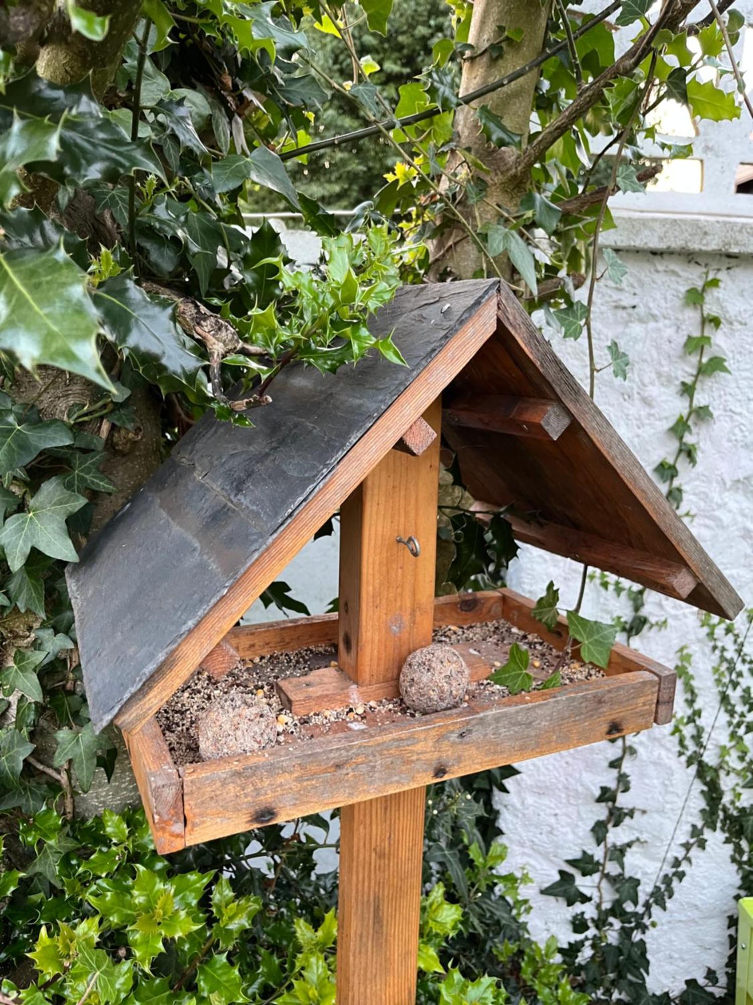 Le Petit Paradis Cassel Eksteriør billede