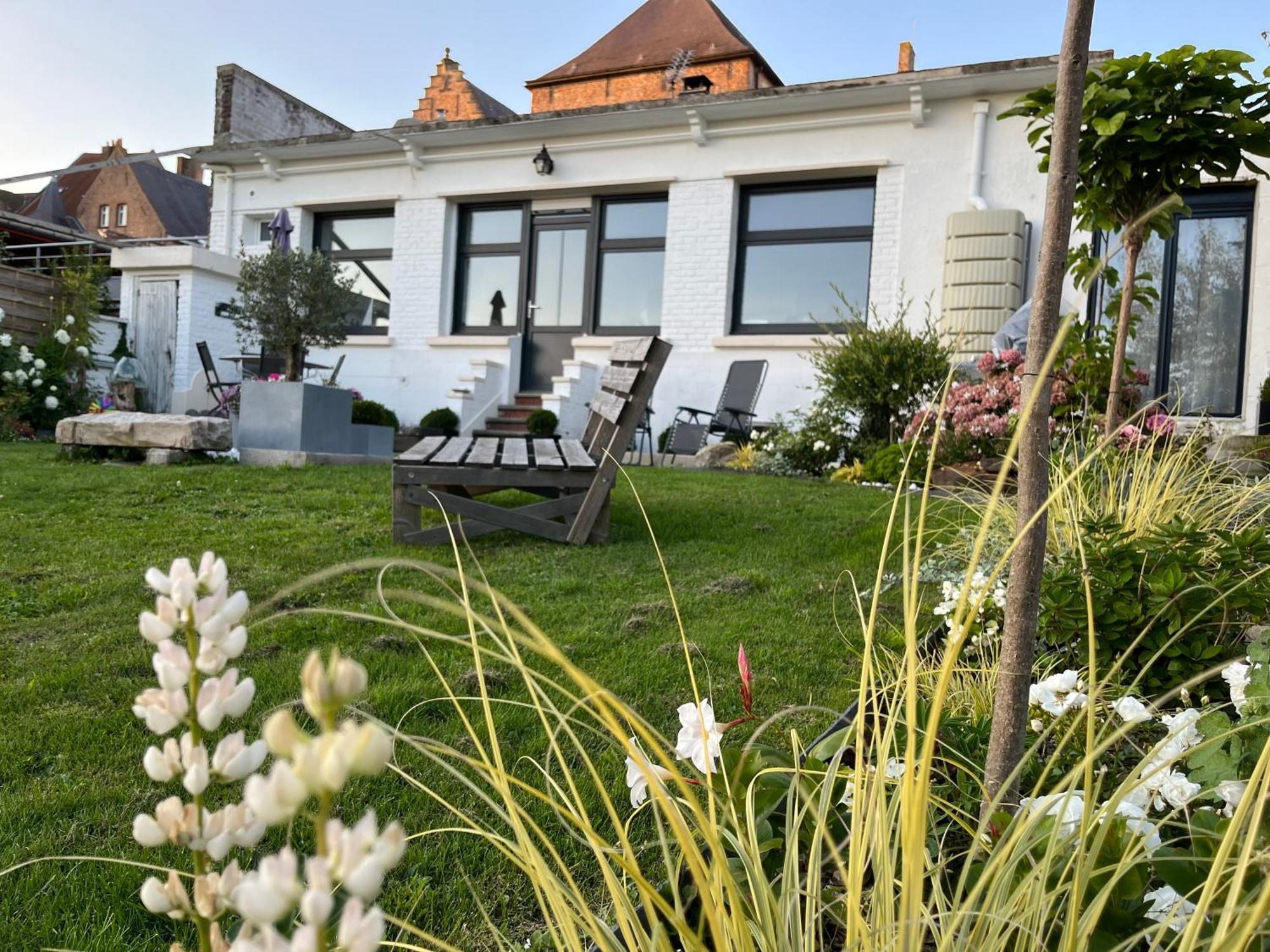 Le Petit Paradis Cassel Eksteriør billede