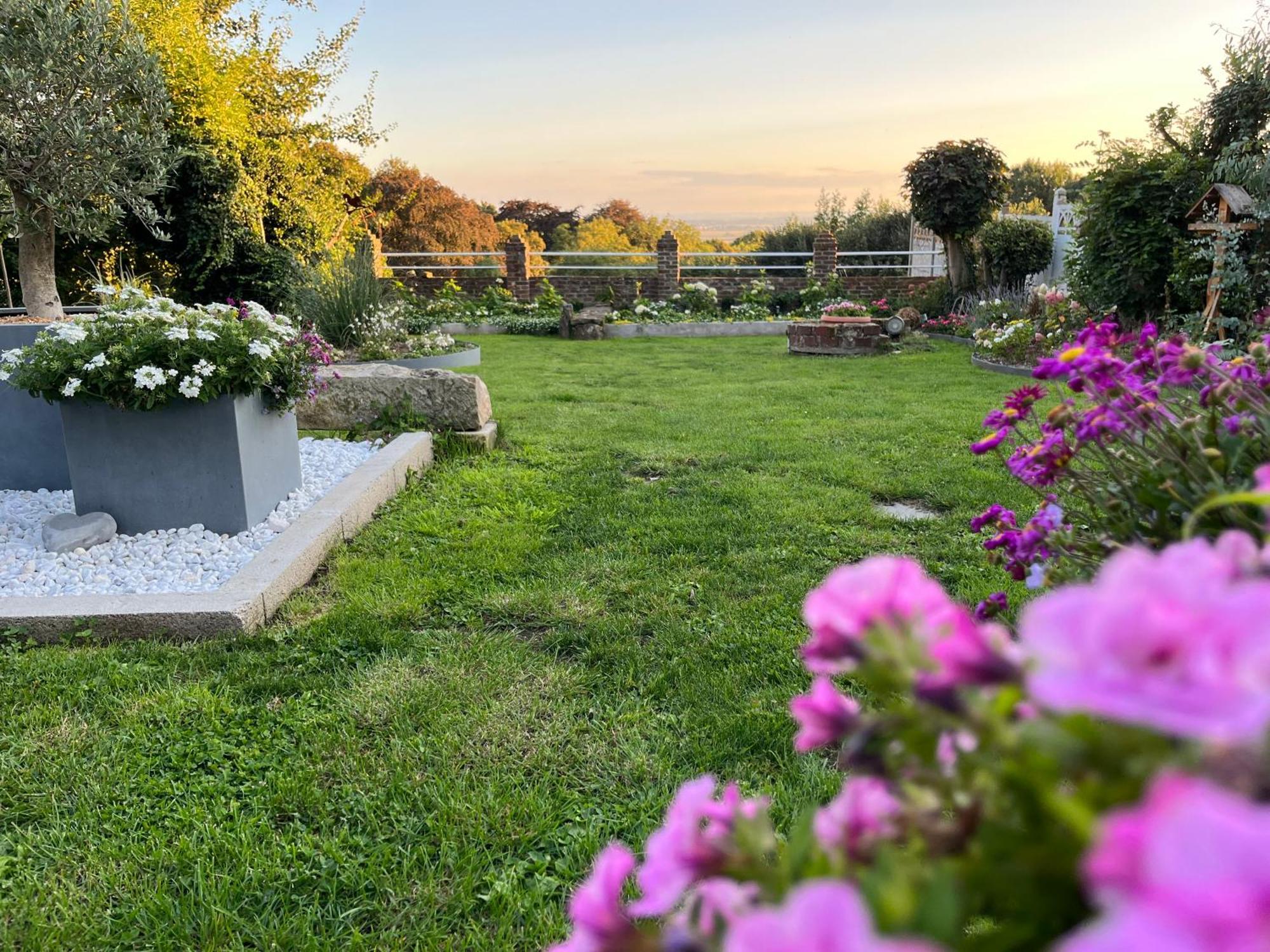 Le Petit Paradis Cassel Eksteriør billede