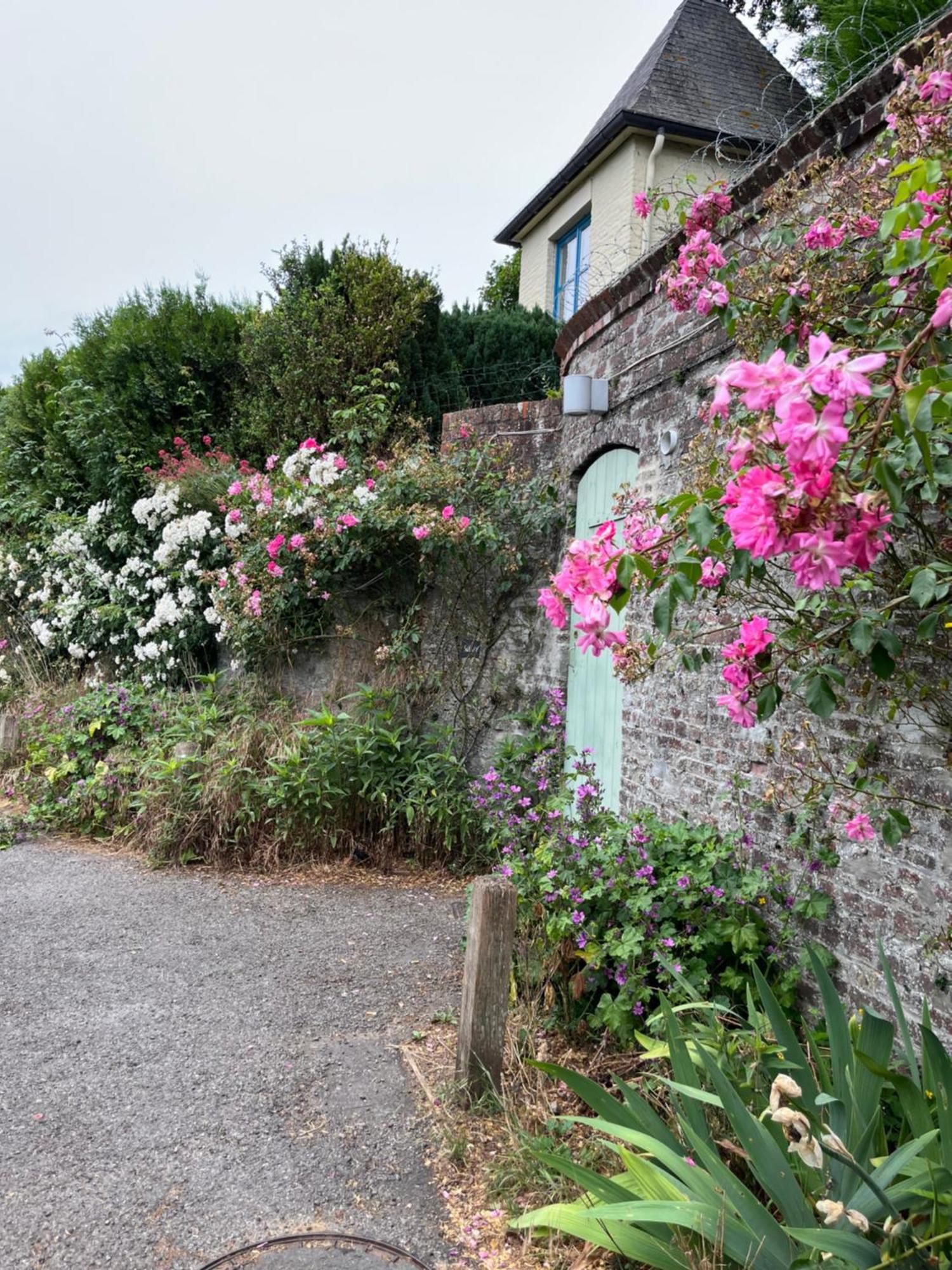 Le Petit Paradis Cassel Eksteriør billede